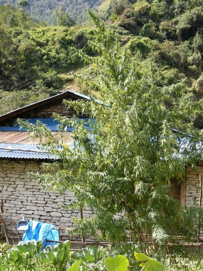 Nepal Annapurna