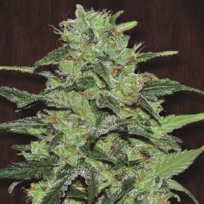 Malawi: bank product photo, credit alchimiaweb.com, copyright status shown with credit copyright unverified