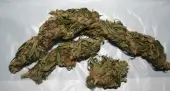 Neville's Haze