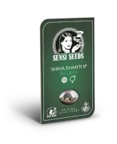 Shiva Shanti II