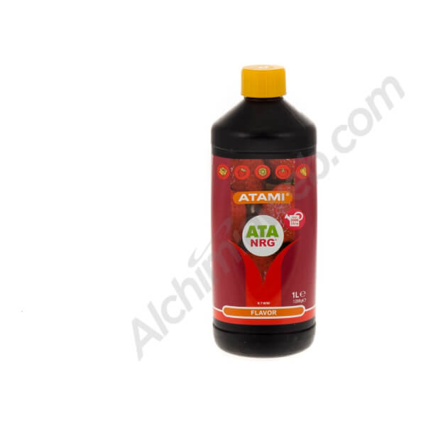 ATA NRG Flavor