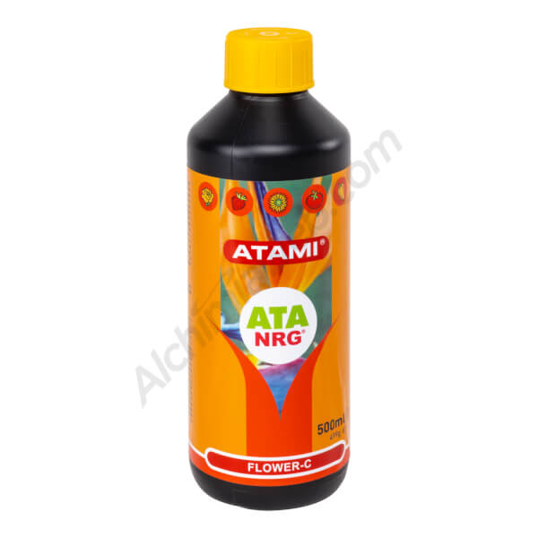 ATA NRG Flower-C 