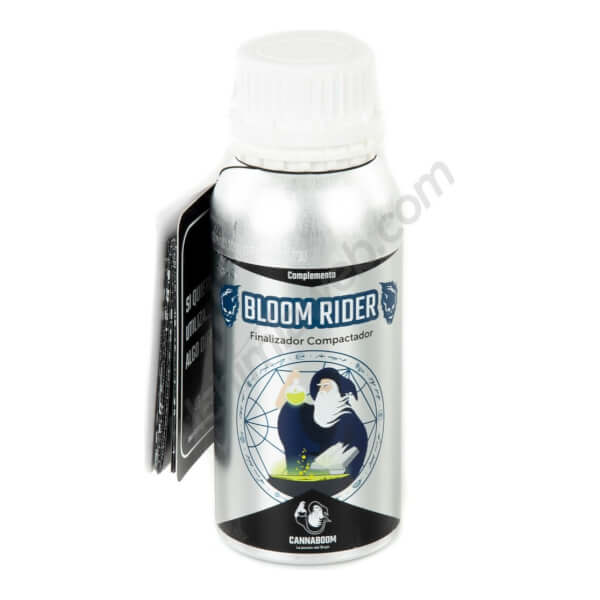 Bloom Rider