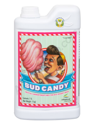 Bud Candy