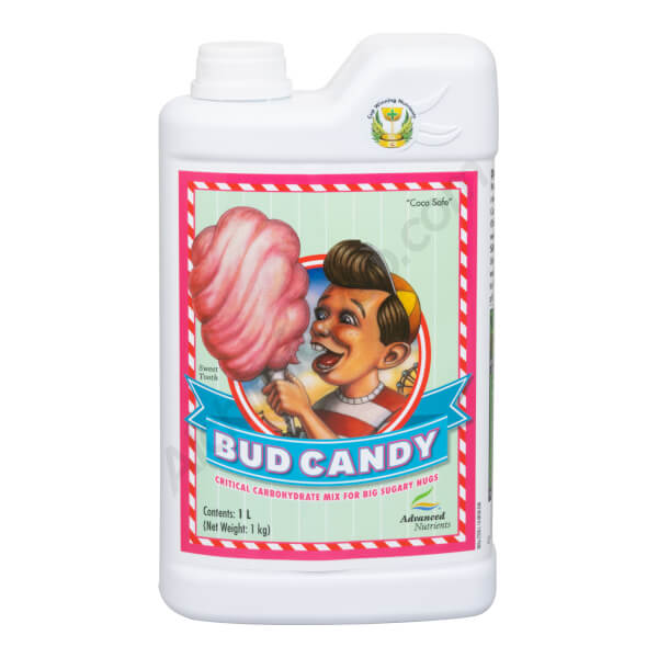 Bud Candy