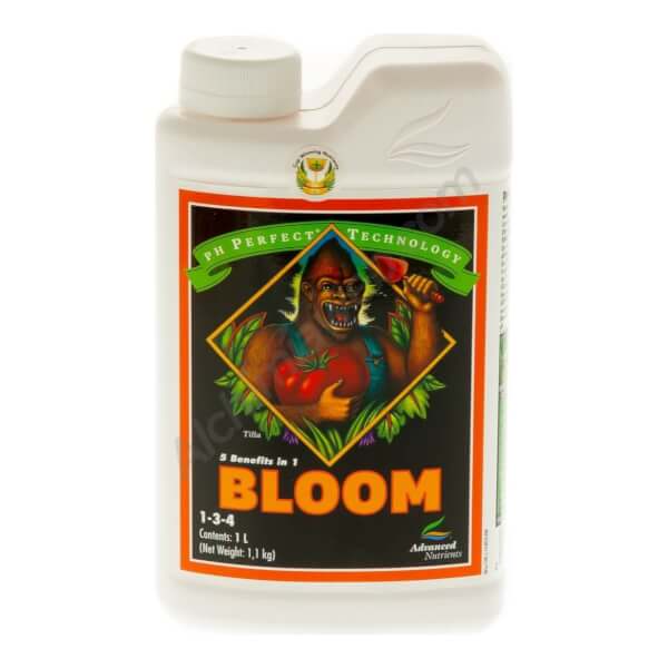 PH Perfect Bloom