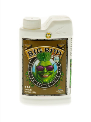 Big Bud Coco