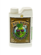 Big Bud Coco