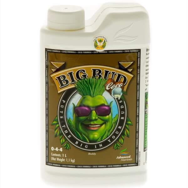 Big Bud Coco