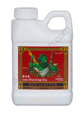 Bud Ignitor
