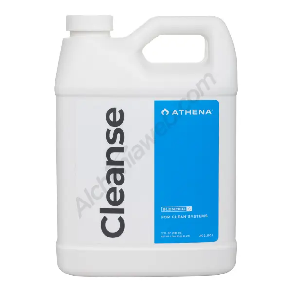 Cleanse