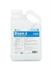 Athena Bloom A + B