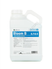 Athena Bloom A + B