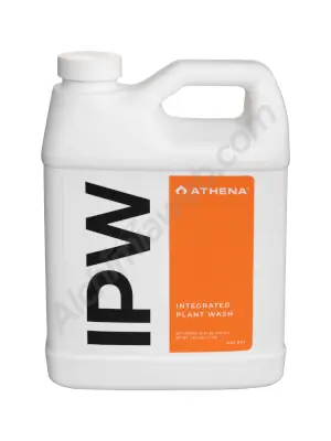 IPW Athena (ehemals IPM)