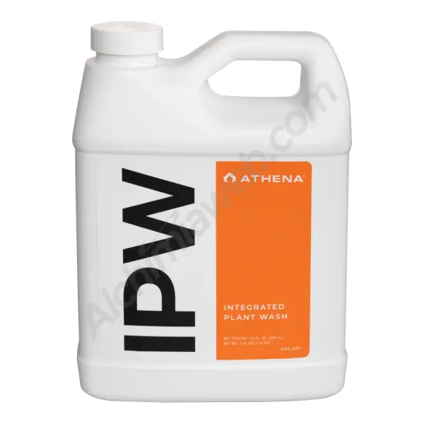 IPW de Athena (antes IPM)