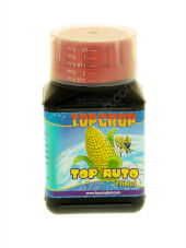 Top Auto
