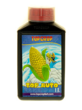 Top Auto