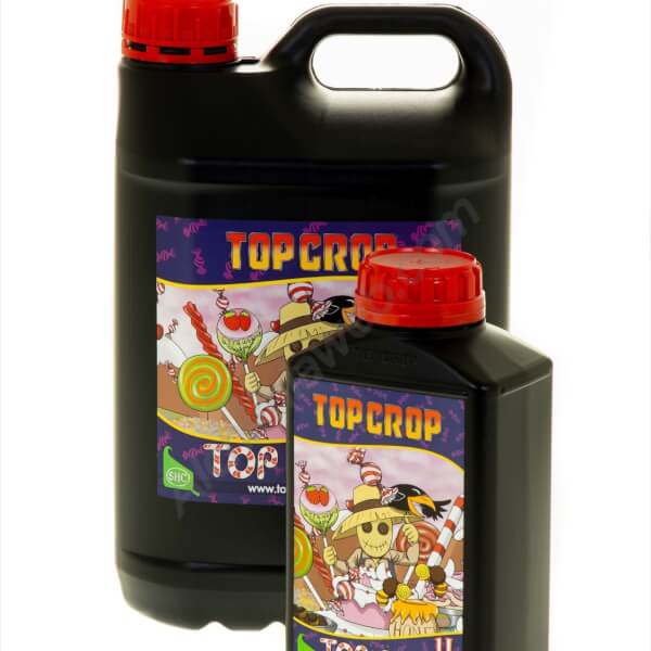 Top Candy