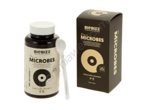 Biobizz Microbes