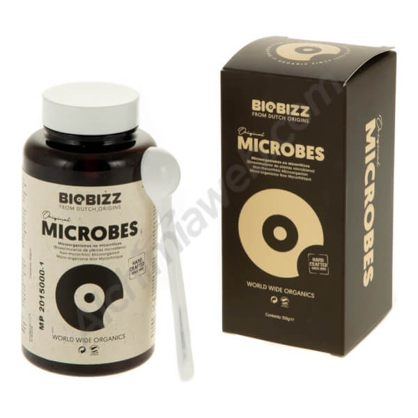 Biobizz Microbes