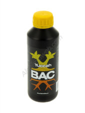 BAC Yuccah 