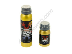 BAC Final Solution 
