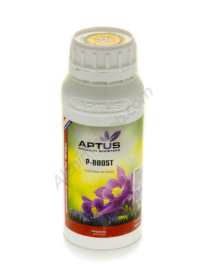 P-Boost
