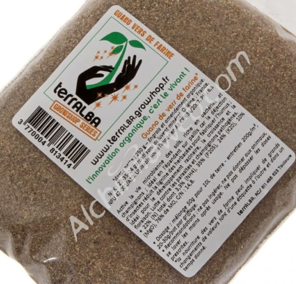 Mealworm Guano