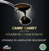 Cann’Candy – Zuckerrohrmelasse