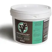 Alguamycor V2