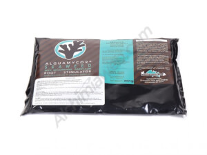 Alguamycor V2