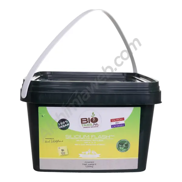 Biotabs Silicium Flash