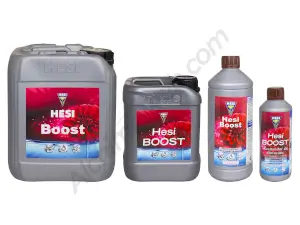 HESI Boost