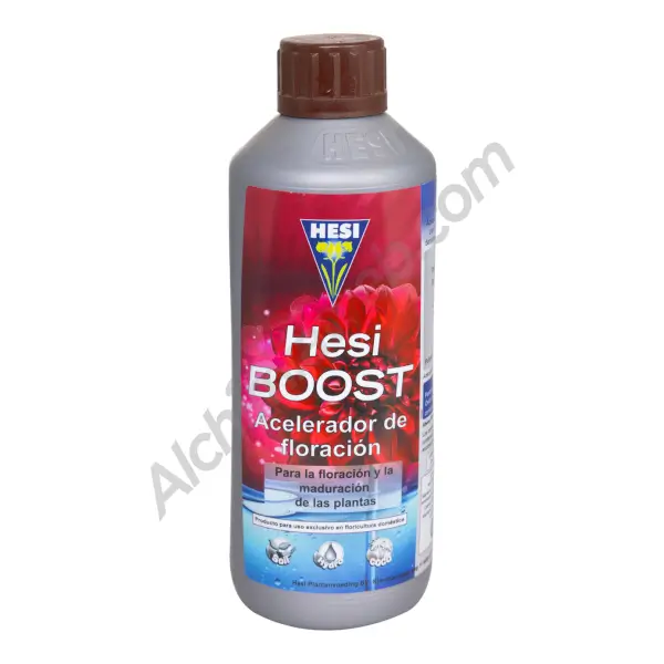HESI Boost