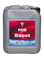 HESI Boost