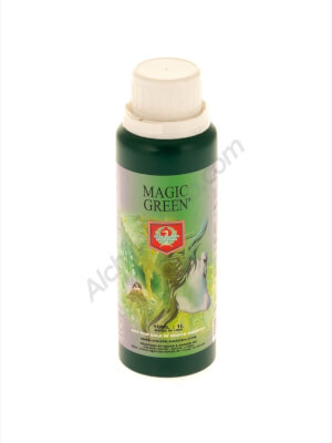 H&G Magic Green
