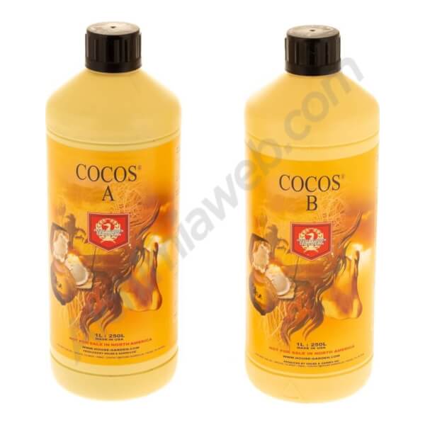 H&G Cocos A+B