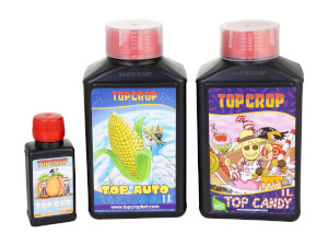 KIT Basic Autos - TOP CROP