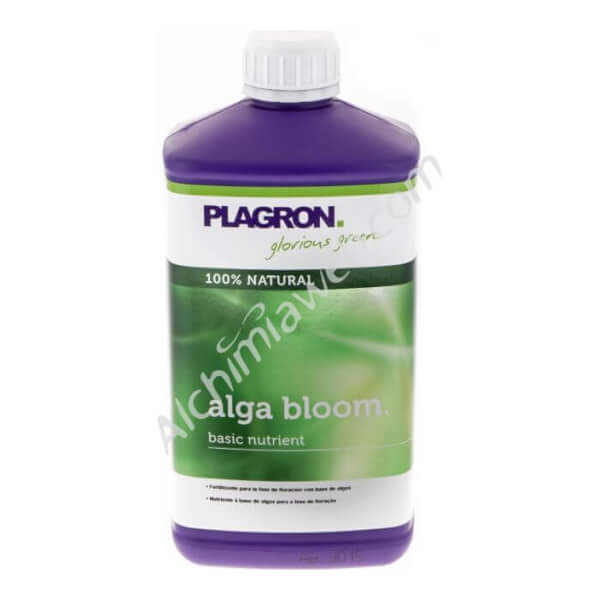 PLAGRON Alga Bloom