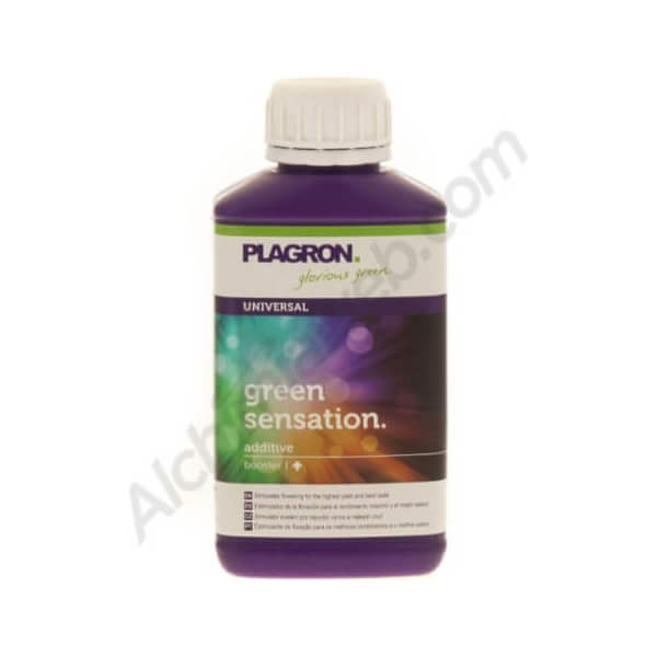 PLAGRON Green Sensation