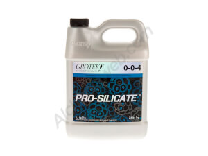 Pro-Silicate