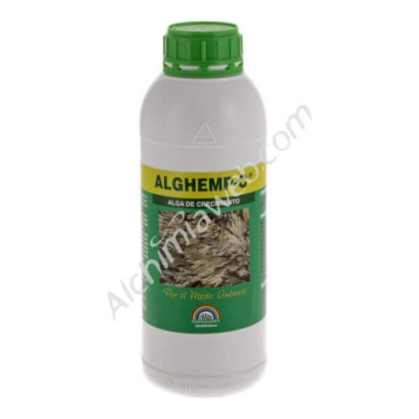 TRABE AlgHemp-C (Wachstum) - 1 L Algen