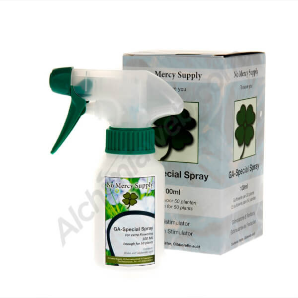 No Mercy Supply GA special spray