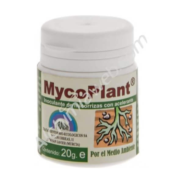 TRABE MycoPlant