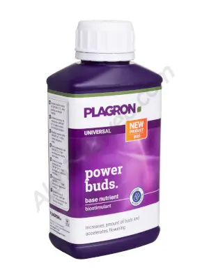 Power Buds