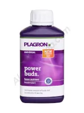Power Buds