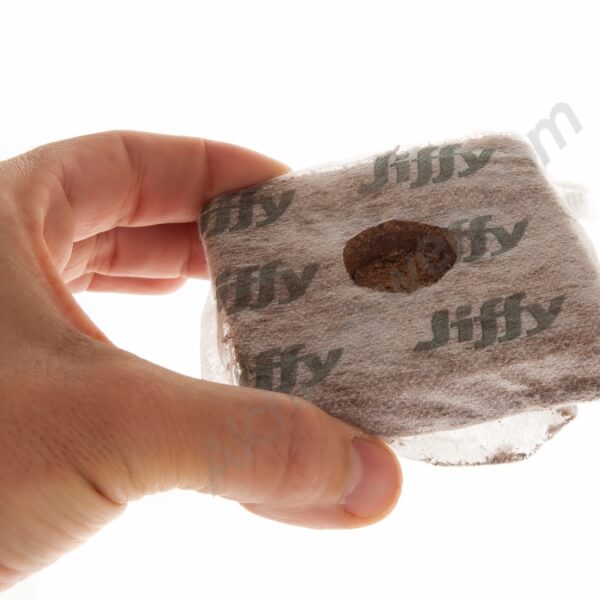 Jiffy coco block 