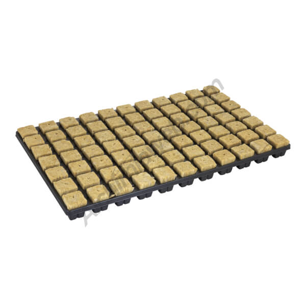 Rockwool tray by Cutilene
