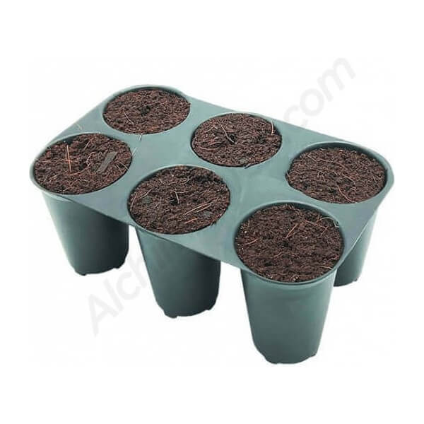 Keimung Tray - PluginPro