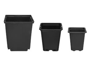 Maceta para germinación